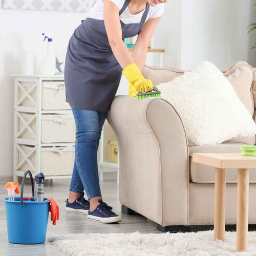 National Professional House Cleaners Day