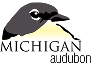 Michigan Audubon