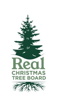 Real Christmas Tree Board