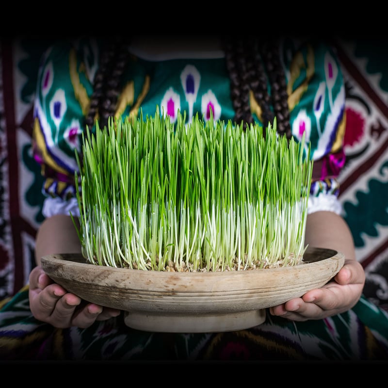 International Day of Nowruz