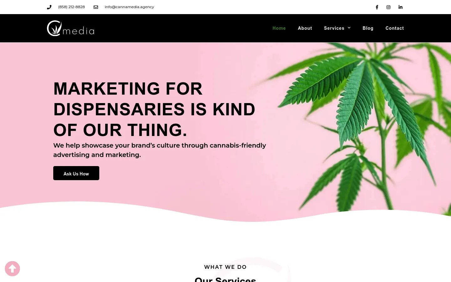 CannaMedia Agency