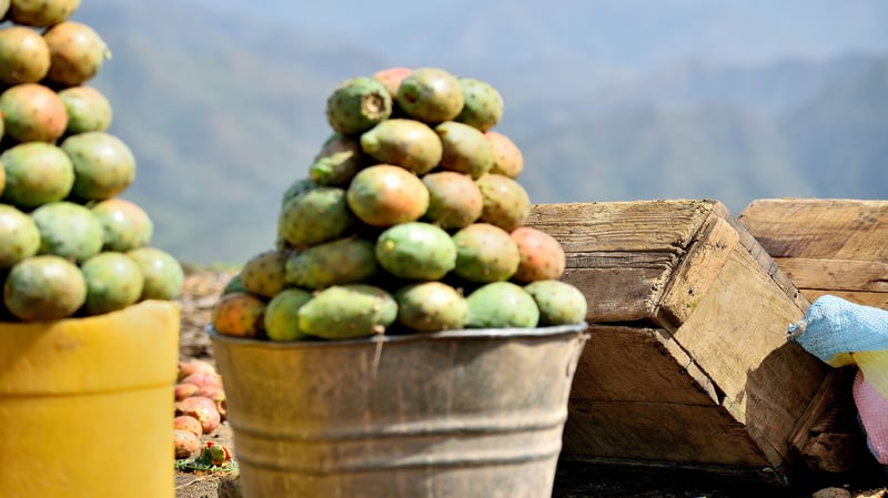 Eritrea (Banned of Pornography)