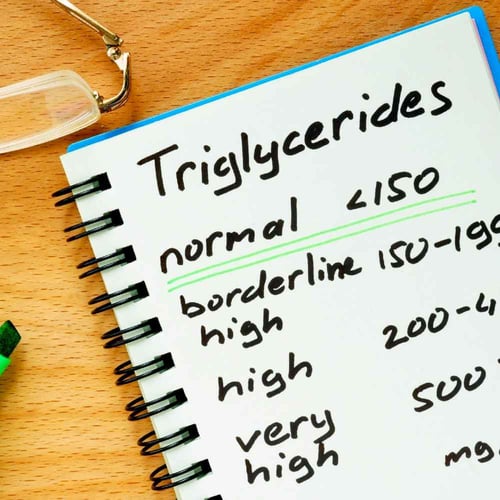 National Triglycerides Day