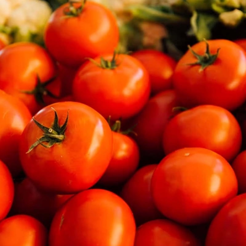 Fresh Florida Tomato Month