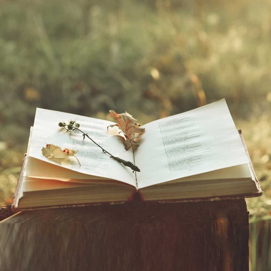 Poetry & The Creative Mind Day