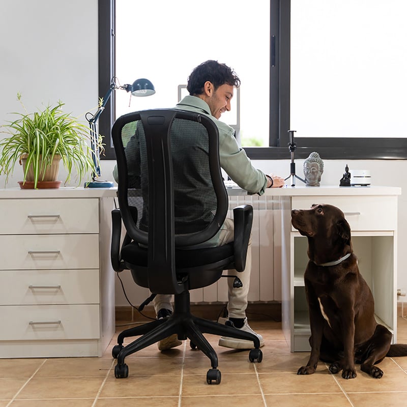 National Take Your Dog to Work Day
