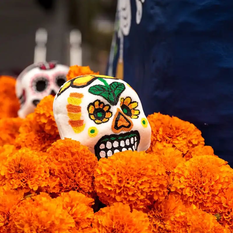 Day of the Dead Floral Skull Project - Finding Time To Create