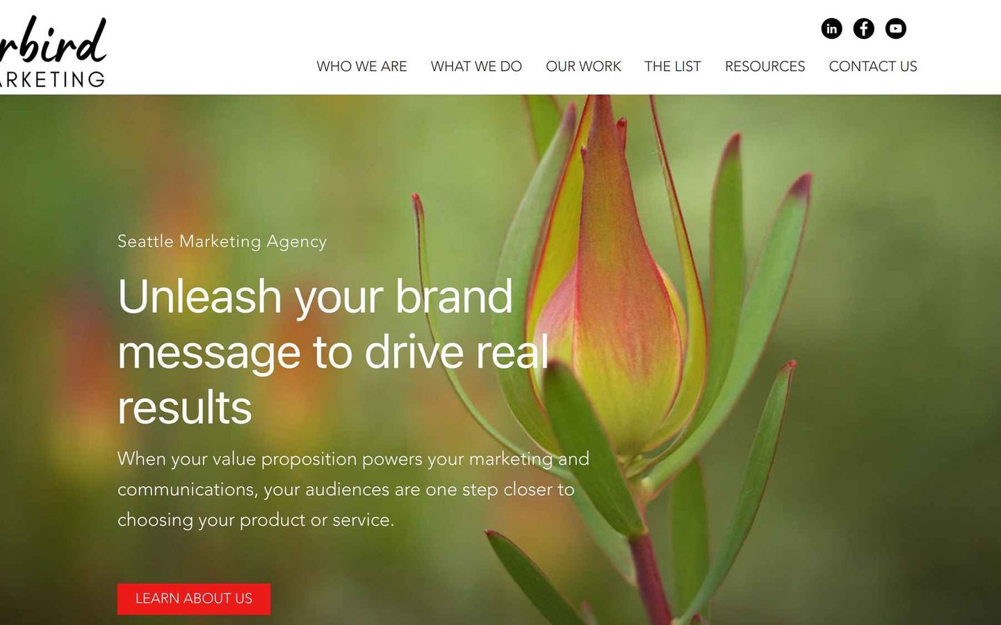 Sugarbird Marketing