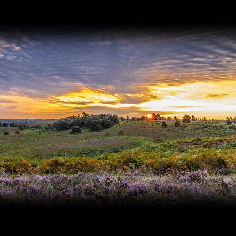 Discover National Parks Fortnight