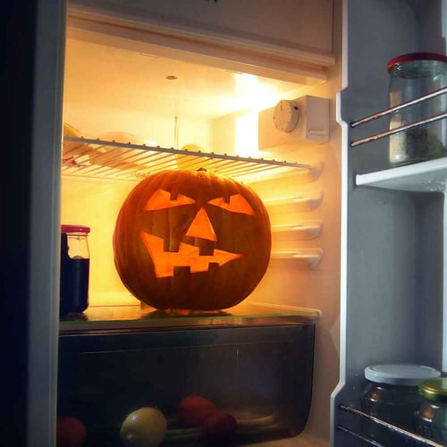 Haunted Refrigerator Night