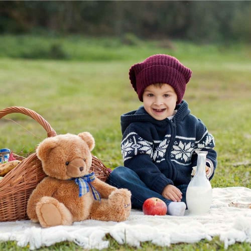 Teddy Bear Picnic Day