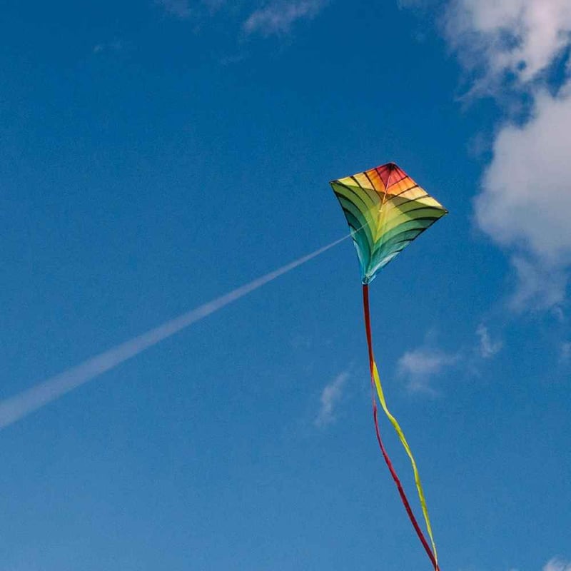National KiteFlying Day 2025