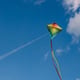 National Kite-Flying Day