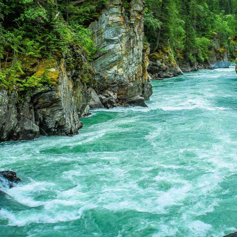 International Day of Action For Rivers 2024