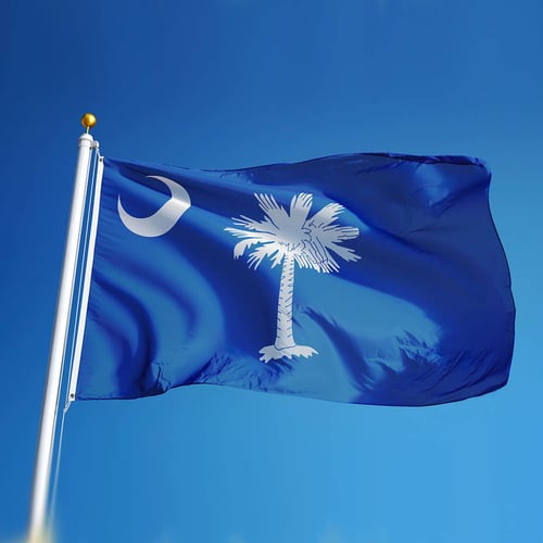 National South Carolina Day