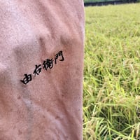 【田んぼの泥で染められる】米を育てる土が服を染める。滋賀で染めた柿渋染めTシャツ｜一枚ごとの風合いと色の変化を楽しむ - 8