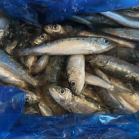 いわしのぬか炊き240g（真空パック）JPYC利用特典で真空代50円OFF - 5