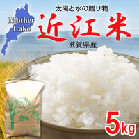 【送料無料・NFT付き】近江米 5kg 令和7年産 きぬむすめ 滋賀県高島市産 近江米 自家製 産地直送 玄米重量 <残留農薬検査実施済み> - 1