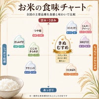 【送料無料・NFT付き】★新米★近江米 10kg 令和8年産 きぬむすめ 滋賀県高島市産 自家製 産地直送 単一原料米 玄米重量 <残留農薬検査実施予定> - 7