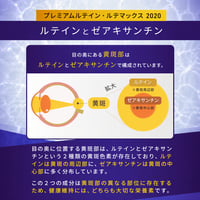 シスタチオン ブースター - 6