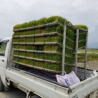 【オプション】 分つき精米・無洗米対応 10kg単位 - 6