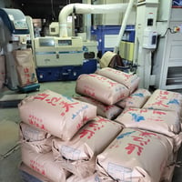 【送料無料・NFT付き】近江米 5kg 令和7年産 きぬむすめ 滋賀県高島市産 近江米 自家製 産地直送 玄米重量 <残留農薬検査実施済み> - 7