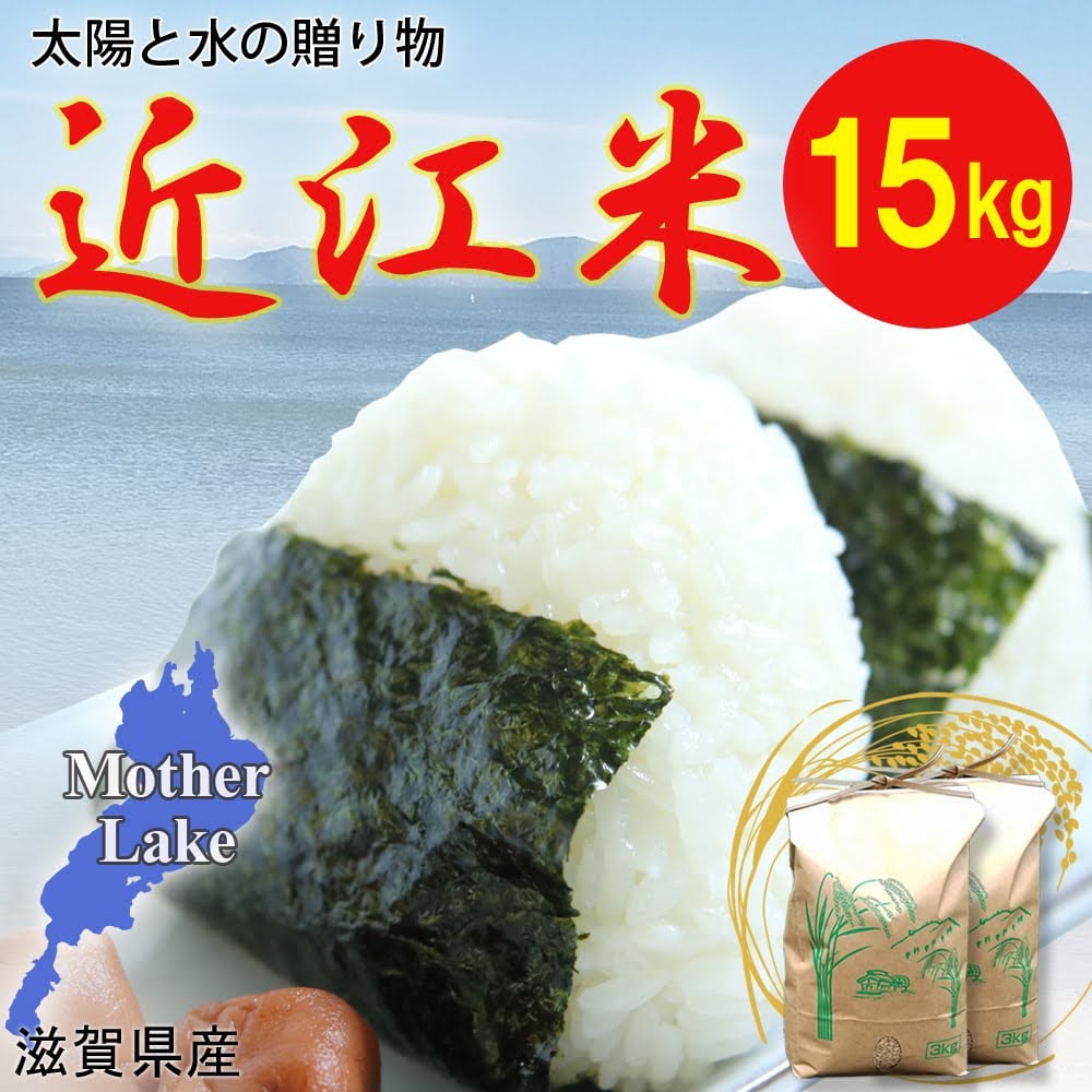 【送料無料・NFT付き】近江米 15kg 令和7年産 きぬむすめ 滋賀県高島市産 近江米 自家製 産地直送 玄米重量 <残留農薬検査実施済み>