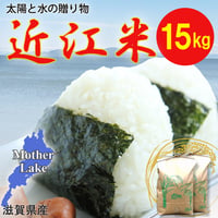 【送料無料・NFT付き】近江米 15kg 令和7年産 きぬむすめ 滋賀県高島市産 近江米 自家製 産地直送 玄米重量 <残留農薬検査実施済み>
