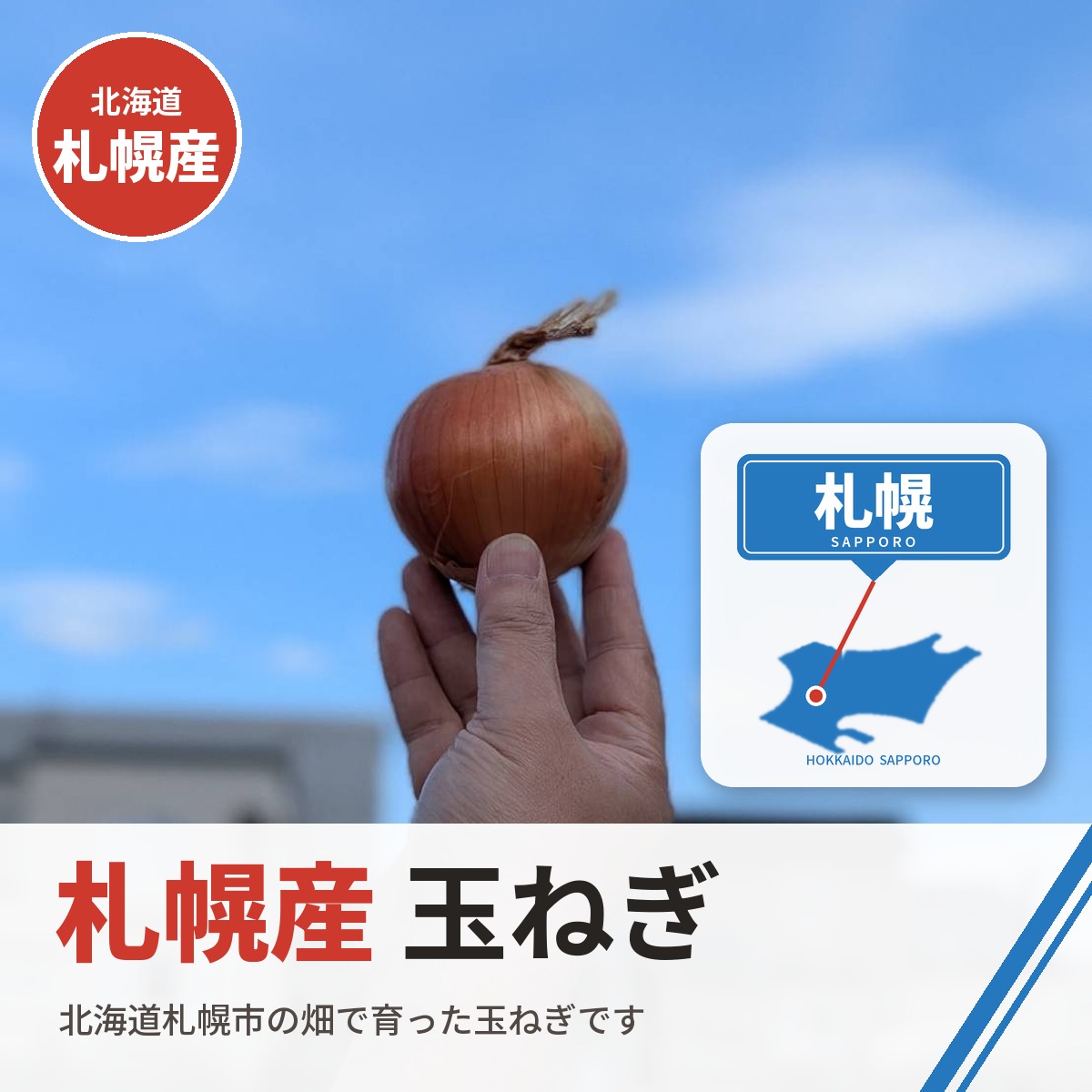 札幌玉ねぎ3キロ