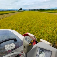 【完売御礼】サクサク食感がやみつき アーモンドふりかけ 味噌ごま／ラー油ごま ご飯のお供 - 10