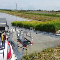 【送料無料・NFT付き】近江米 5kg 令和7年産 きぬむすめ 滋賀県高島市産 近江米 自家製 産地直送 玄米重量 <残留農薬検査実施済み> - 3