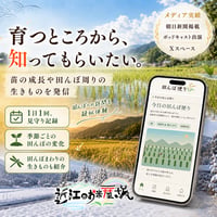 【送料無料・NFT付き】★新米★近江米 10kg 令和8年産 きぬむすめ 滋賀県高島市産 自家製 産地直送 単一原料米 玄米重量 <残留農薬検査実施予定> - 8