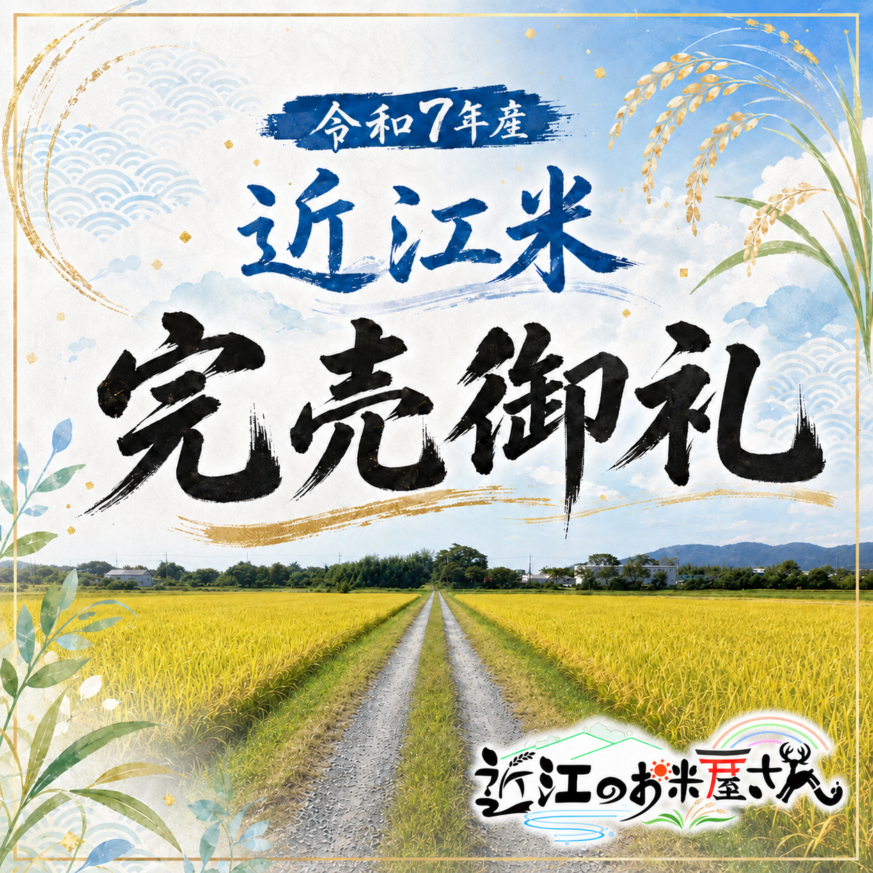 【送料無料・NFT付き】近江米 5kg 令和7年産 きぬむすめ 滋賀県高島市産 近江米 自家製 産地直送 玄米重量 <残留農薬検査実施済み>