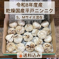 令和８年度産　国産ニンニク　平戸ニンニク　乾燥　栽培期間中は化学的な農薬、肥料は使用しておりません - 1