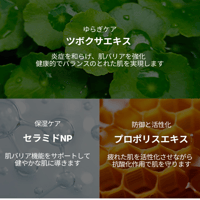 【送料無料】VTCOSMETICS(ブイティコスメテックス) シカクリーム 50ml 保湿 敏感肌 乾燥肌 スキンケア 肌荒れスキンケア CICA - 3
