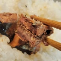 【お米との合わせ買いで送料無料】旬のさんまを骨までやわらかく とろさんま醤油煮 缶詰 北海道・三陸沖 ごはんのお供 - 6