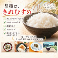 【送料無料・NFT付き】★新米★近江米 10kg 令和8年産 きぬむすめ 滋賀県高島市産 自家製 産地直送 単一原料米 玄米重量 <残留農薬検査実施予定> - 3