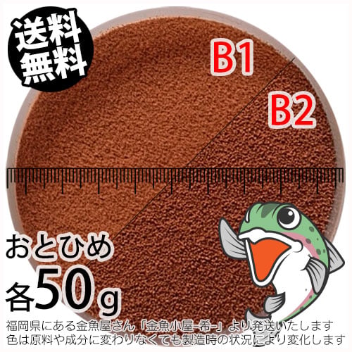 沈降性(沈下性)お試し日清丸紅飼料おとひめB1(0.2~0.36mm)とB2(0.36~0.62mm)の各50g(合計100g)小分け品(メール便／金魚小屋-希-福岡／3日)