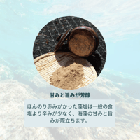 【お米との合わせ買いで送料無料】お米と素材のおいしさを引き立てる 蒋渕藻塩 中／粗 愛媛・宇和島産 天然塩 塩むすび・料理の仕上げに ごはんのお供 - 6