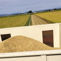 【送料無料・NFT付き】近江米 15kg 令和7年産 きぬむすめ 滋賀県高島市産 近江米 自家製 産地直送 玄米重量 <残留農薬検査実施済み> - 5