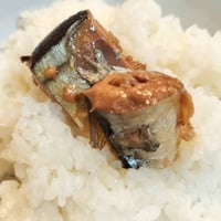 【お米との合わせ買いで送料無料】旬のさんまを骨までやわらかく とろさんま醤油煮 缶詰 北海道・三陸沖 ごはんのお供 - 5