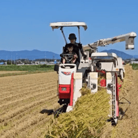 【送料無料・NFT付き】近江米 15kg 令和7年産 きぬむすめ 滋賀県高島市産 近江米 自家製 産地直送 玄米重量 <残留農薬検査実施済み> - 6