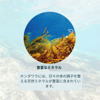 【お米との合わせ買いで送料無料】お米と素材のおいしさを引き立てる 蒋渕藻塩 中／粗 愛媛・宇和島産 天然塩 塩むすび・料理の仕上げに ごはんのお供 - 7