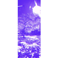 kake（写真ZINE） - 2