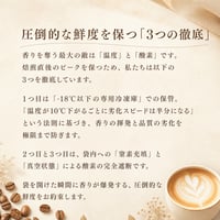 【1回お試し】スペシャルティコーヒー サブスク（定期便）体験 - 7