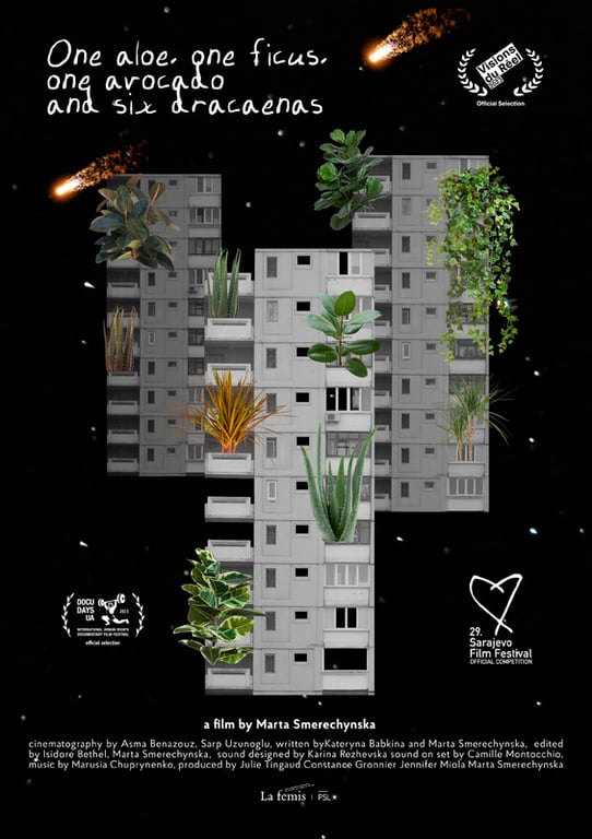One Aloe, One Ficus, One Avocado and Six Dracaenas poster