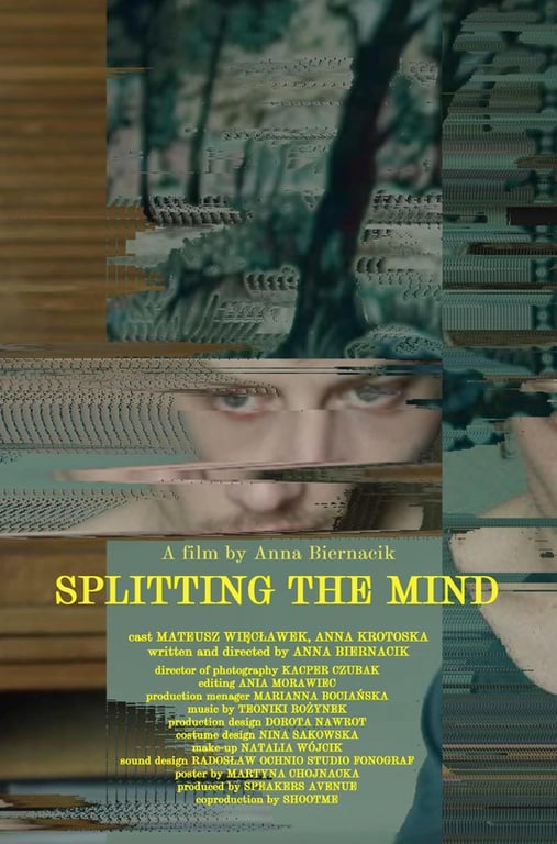 Splitting the Mind poster