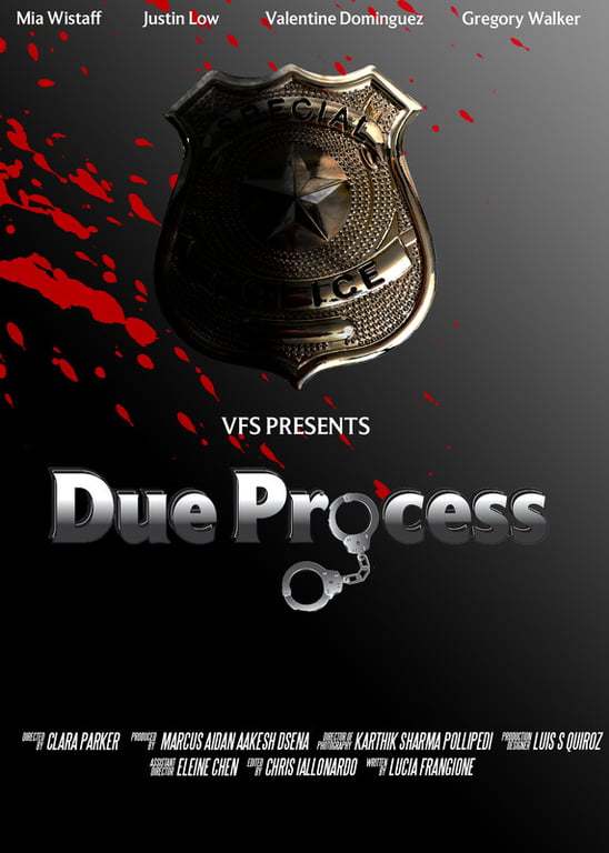 Due Process poster