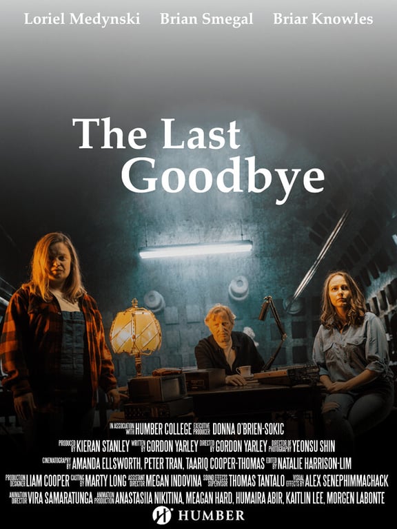 The Last Goodbye poster
