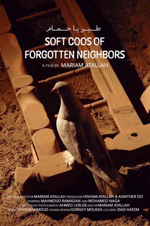 Soft Coos of Forgotten Neighbors poster